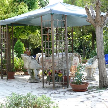 Bed&Breakfast Giardino Agritourist Controguerra Bagian luar foto