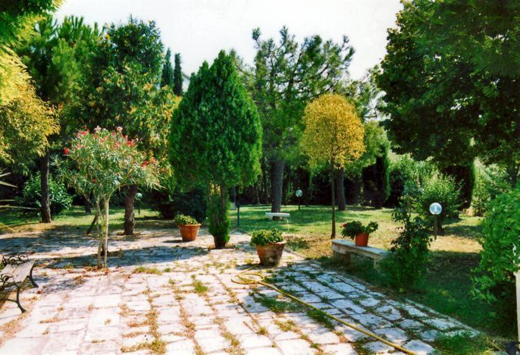 Bed&Breakfast Giardino Agritourist Controguerra Bagian luar foto
